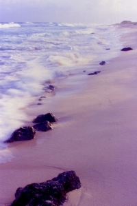 Cozumel's coast.jpg